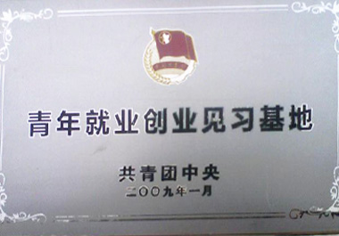 2009年1月，“青年餐厅”被“共青团中央”认证为“青年就业创业见习基地”