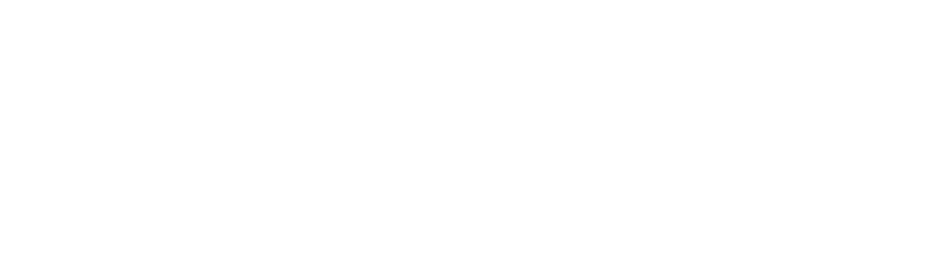 新诚嘉